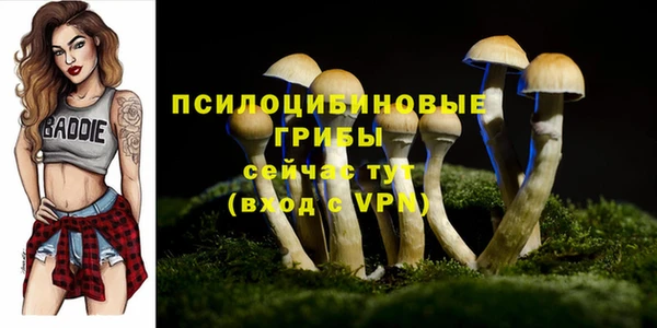 прущие крисы Семилуки