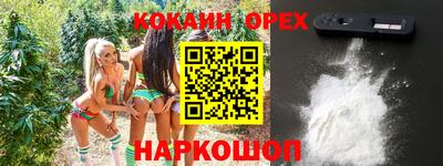 МДПВ Кингисепп