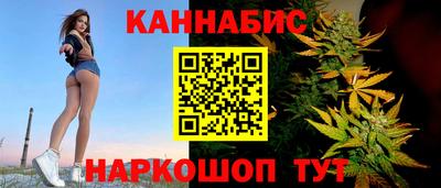 МДПВ Кингисепп