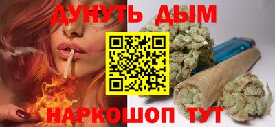 МДПВ Кингисепп