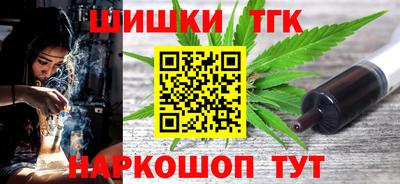 МДПВ Кингисепп
