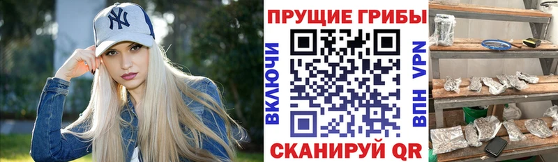 Галлюциногенные грибы мицелий  наркота  Сердобск 