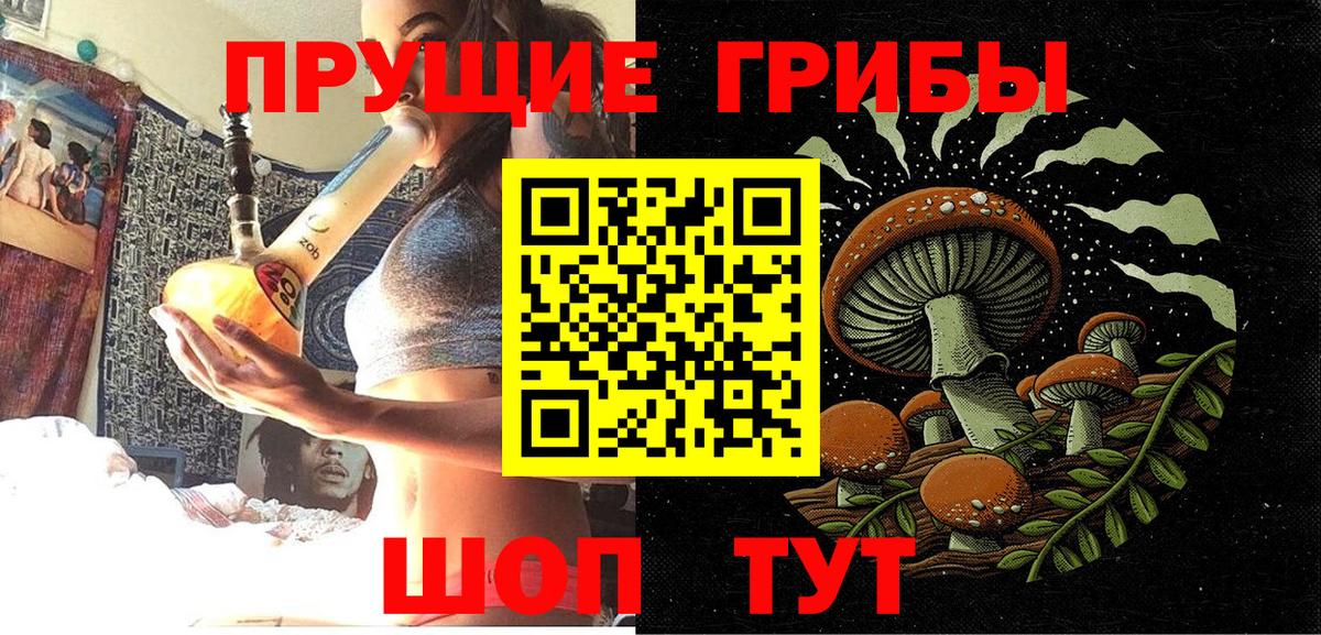 Псилоцибиновые грибы Psilocybe Сердобск