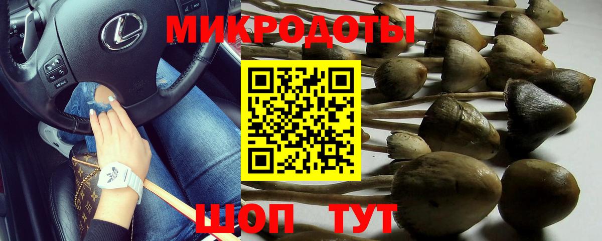 Сердобск  Галлюциногенные грибы Cubensis  Вход с VPN  Галлюциногенные грибы прущие грибы 